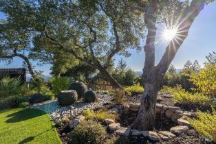 Single Family Residence,  Parker Hill road, Santa Rosa, CA 95404 - 38