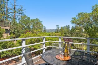 Single Family Residence,  Los Olivos road, Santa Rosa, CA 95404 - 22