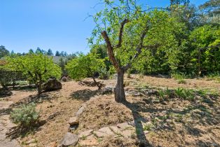 Single Family Residence,  Los Olivos road, Santa Rosa, CA 95404 - 47
