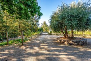 Single Family Residence,  Rosedale road, Calistoga, CA 94515 - 3