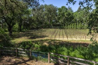 Single Family Residence,  Silverado trail, Napa, CA 94558 - 56