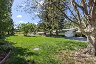 Single Family Residence,  Silverado trail, Napa, CA 94558 - 79