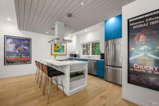 Single Family Residence,  Redwood drive, Russian River, CA 95462 - 13