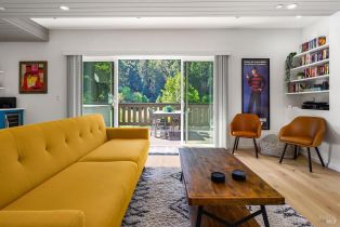 Single Family Residence,  Redwood drive, Russian River, CA 95462 - 6