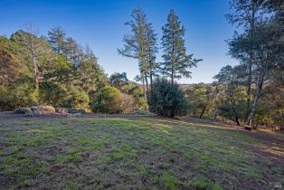 Single Family Residence,  Timberhill road, Russian River, CA 95401 - 42