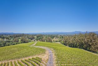 Agriculture,  Blank road, Sebastopol, CA 95472 - 24
