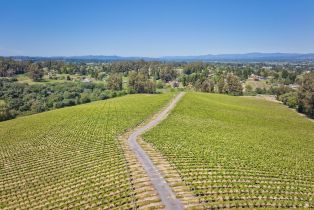 Agriculture,  Blank road, Sebastopol, CA 95472 - 26