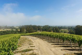 Agriculture,  Blank road, Sebastopol, CA 95472 - 4