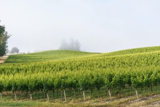 Land, 5215 Blank Rd, Sebastopol, CA  Sebastopol, CA 95472