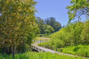 Agriculture,  Blank road, Sebastopol, CA 95472 - 18