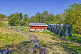 Agriculture,  Blank road, Sebastopol, CA 95472 - 28