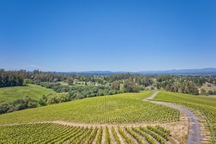 Agriculture,  Blank road, Sebastopol, CA 95472 - 25