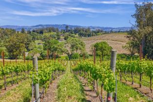 Agriculture,  Blank road, Sebastopol, CA 95472 - 21