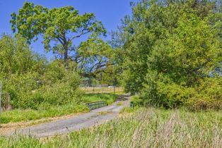 Agriculture,  Blank road, Sebastopol, CA 95472 - 17