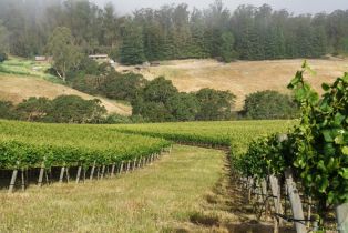 Agriculture,  Blank road, Sebastopol, CA 95472 - 7