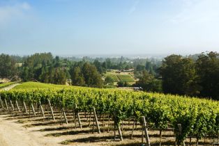 Agriculture,  Blank road, Sebastopol, CA 95472 - 6