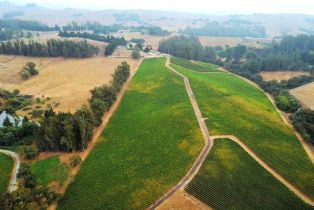 Agriculture,  Blank road, Sebastopol, CA 95472 - 13