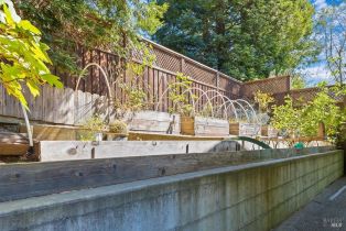 Single Family Residence,  Woodland avenue, Sebastopol, CA 95472 - 43