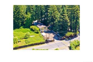 2 Houses on Lot, 14785 Armstrong Woods road, Russian River, CA 95446 - 4
