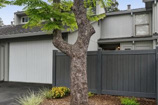 Condominium,  Michelle court, Napa, CA 94558 - 3