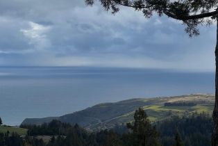 Single Family Residence,  Muniz Ranch road, Jenner, CA 95450 - 54