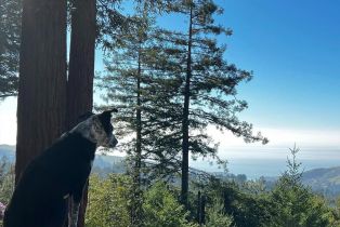 Single Family Residence,  Muniz Ranch road, Jenner, CA 95450 - 50