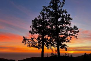 Single Family Residence,  Muniz Ranch road, Jenner, CA 95450 - 57