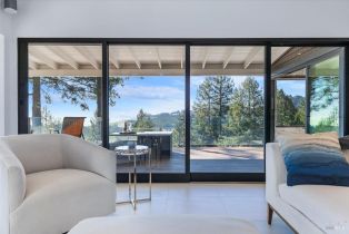 Single Family Residence,  Muniz Ranch road, Jenner, CA 95450 - 27