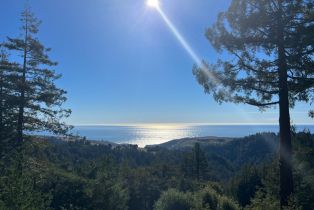 Single Family Residence,  Muniz Ranch road, Jenner, CA 95450 - 53