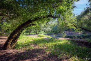 Single Family Residence,  Dutcher Creek road, Cloverdale, CA 95425 - 48