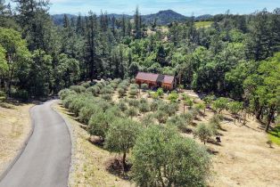 Single Family Residence,  Dutcher Creek road, Cloverdale, CA 95425 - 39