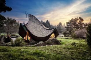 Single Family Residence,  Green Cove drive, Sea Ranch, CA 95497 - 54
