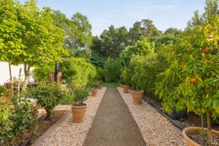 Single Family Residence,  Agua Caliente road, Sonoma, CA 95476 - 6