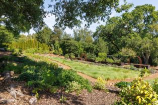 Single Family Residence,  Agua Caliente road, Sonoma, CA 95476 - 18