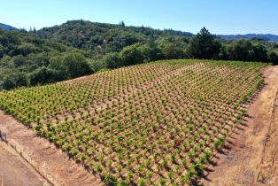 Residential Acreage,  Dutcher Creek road, Healdsburg, CA 95448 - 52