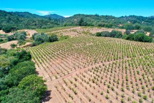 Residential Acreage,  Dutcher Creek road, Healdsburg, CA 95448 - 36