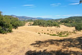 Residential Acreage,  Dutcher Creek road, Healdsburg, CA 95448 - 42