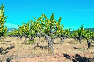 Residential Acreage,  Dutcher Creek road, Healdsburg, CA 95448 - 64