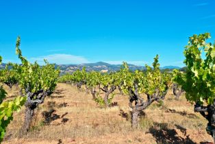 Residential Acreage,  Dutcher Creek road, Healdsburg, CA 95448 - 63