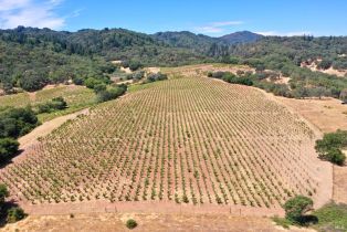 Residential Acreage,  Dutcher Creek road, Healdsburg, CA 95448 - 12