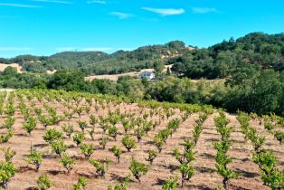 Residential Acreage,  Dutcher Creek road, Healdsburg, CA 95448 - 8