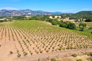 Residential Acreage,  Dutcher Creek road, Healdsburg, CA 95448 - 51
