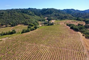 Residential Acreage,  Dutcher Creek road, Healdsburg, CA 95448 - 61