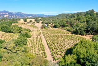 Residential Acreage,  Dutcher Creek road, Healdsburg, CA 95448 - 53