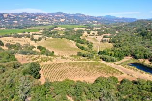Residential Acreage,  Dutcher Creek road, Healdsburg, CA 95448 - 47