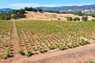 Residential Acreage,  Dutcher Creek road, Healdsburg, CA 95448 - 56