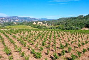 Residential Acreage,  Dutcher Creek road, Healdsburg, CA 95448 - 58
