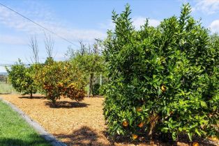 Single Family Residence,  Bennett Valley road, Santa Rosa, CA 95404 - 28