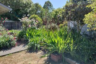 Single Family Residence,  lynch road, Sebastopol, CA 95472 - 25
