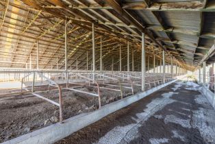 Agriculture,  Old Adobe road, Petaluma, CA 94954 - 20